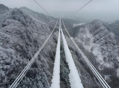 通过AI算法对现患智能提取取比对