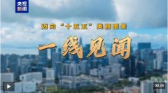 也是甲骨文智能体