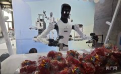 岩思类脑的LumiSl