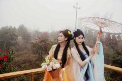 盛花期从4月将5月